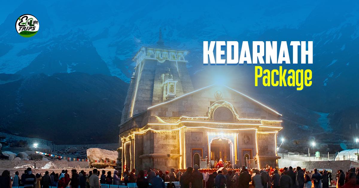 Kedarnath package